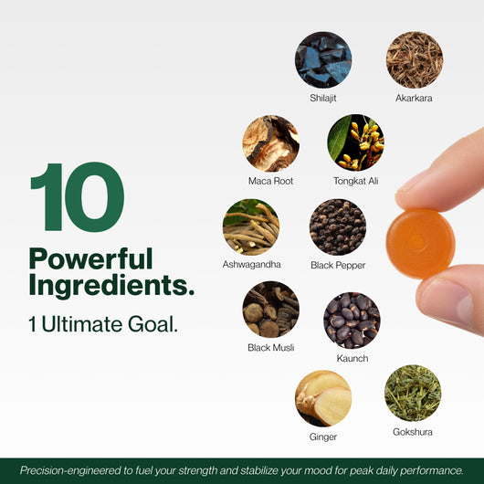 Beyond™ Shilajit Gummies